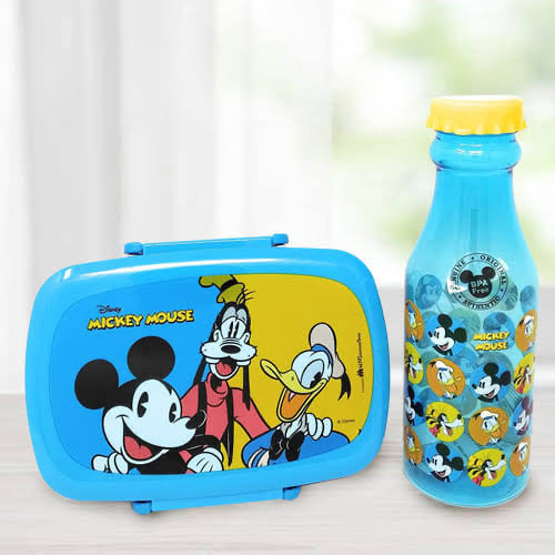 Lunch box and water bottle